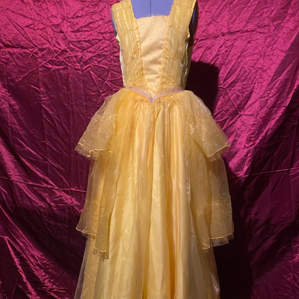 Belle costume live action beauty and the beast